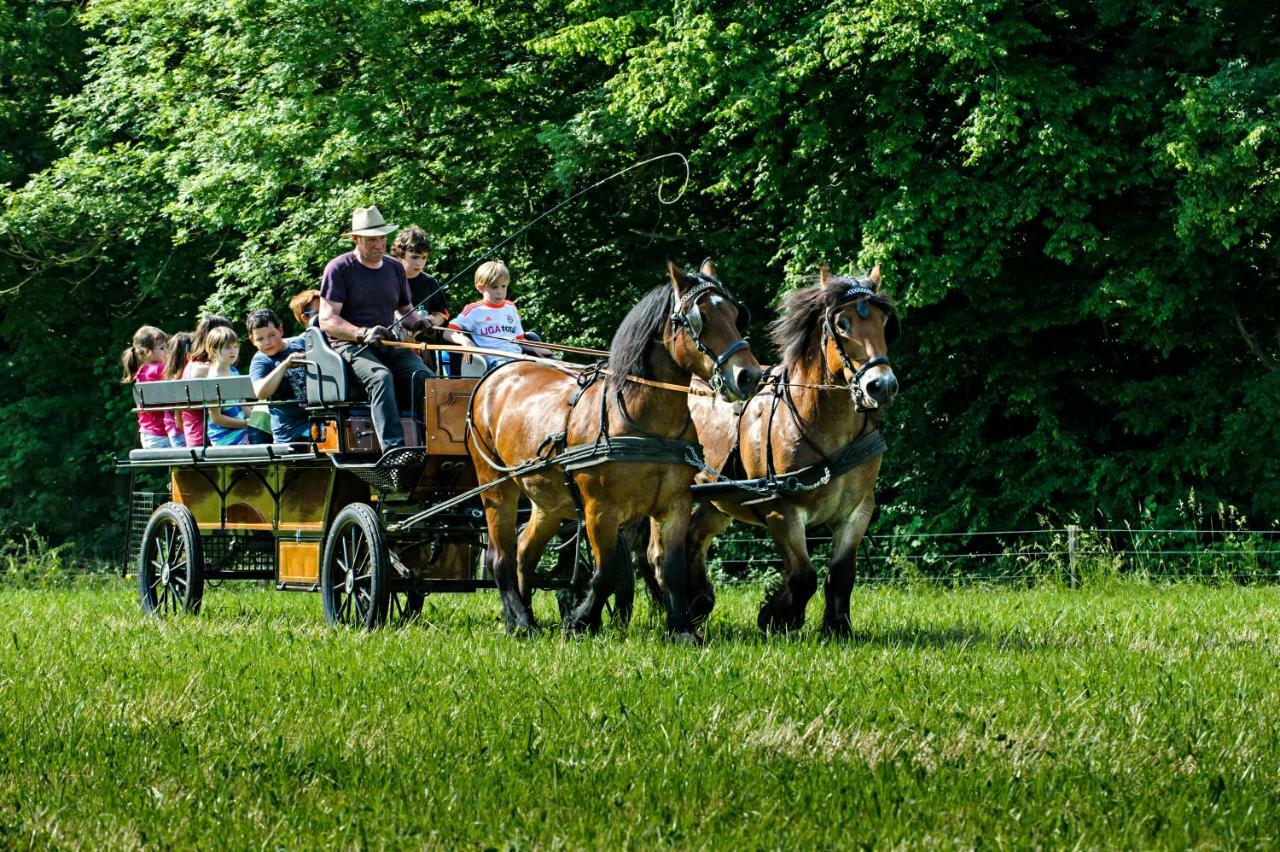 Nengshof Ferienhaus Gaensebluemchen Wißmannsdorf Buitenkant foto
