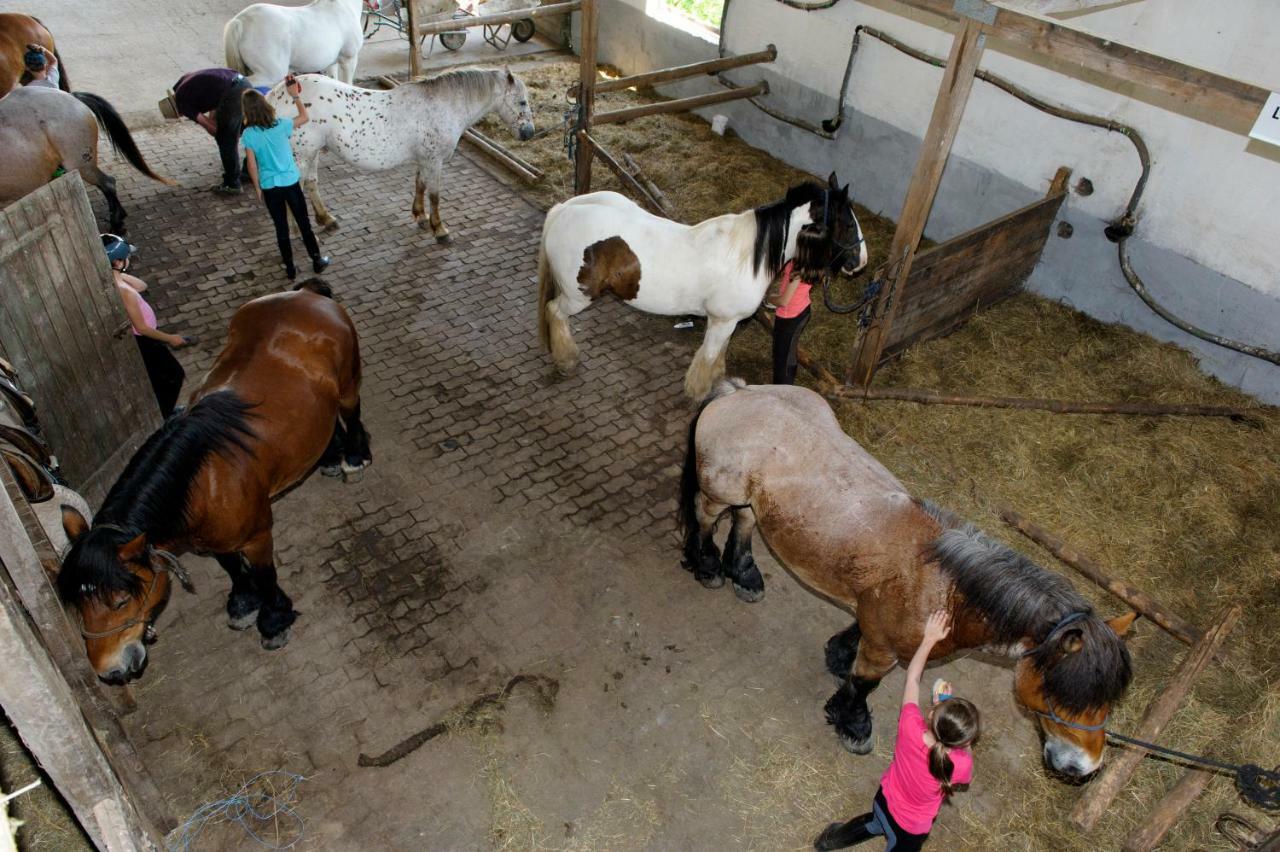 Nengshof Ferienhaus Gaensebluemchen Wißmannsdorf Buitenkant foto